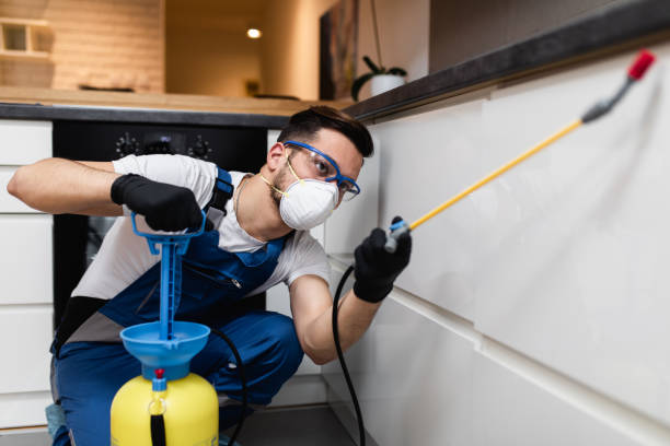 Best Commercial Pest Control Services  in Milan, NM