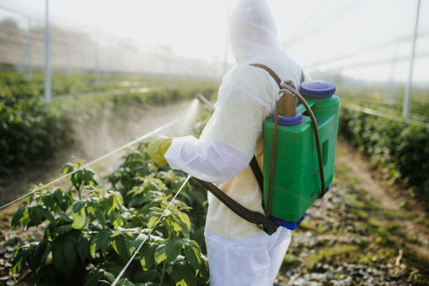 Best Mosquito Control Services  in Milan, NM